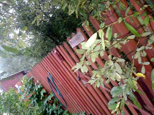 Штакетник 3